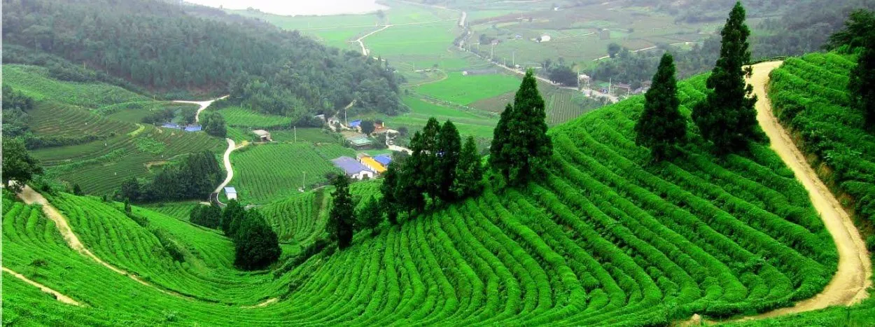 LTC GOA TOUR PACKAGE