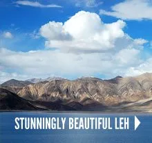 Amazing LEH