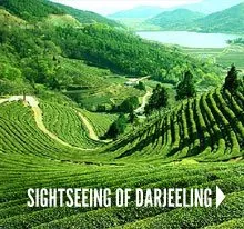 DARJEELING GANGTOK